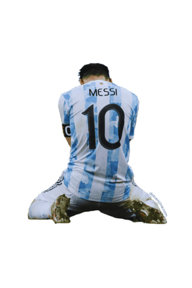 Sticker Messi Campeon del Mundo